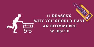 11 Reasons Why You Should Have an eCommerce Website